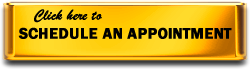 Schedule an Appointment